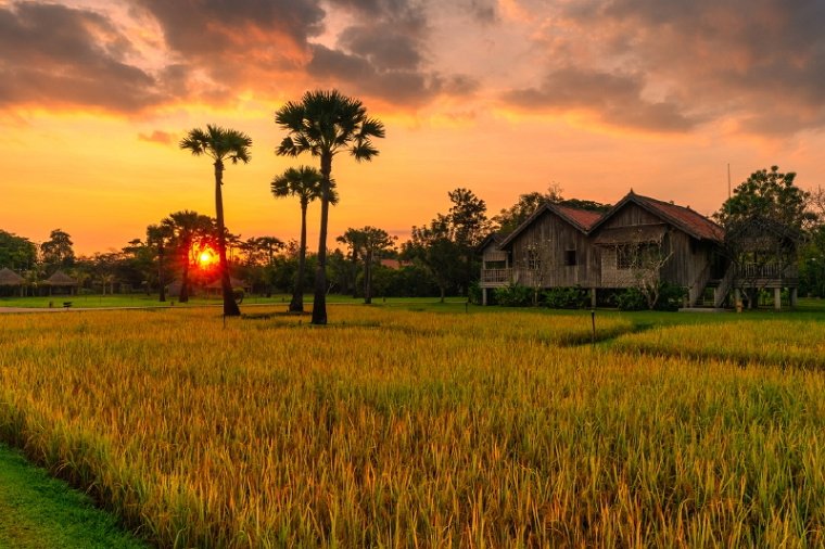 079 Cambodja, Siem Reap.jpg
